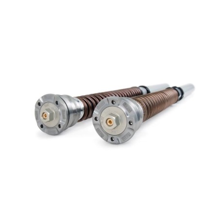 kit cartouches OHLINS NIX30