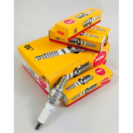 Bougies NGK Spark Plugs